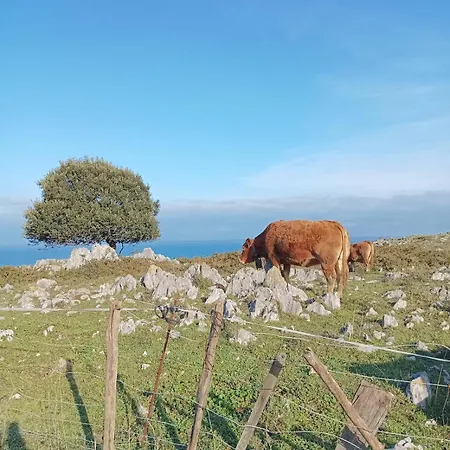 Διαμέρισμα Preciosa En El Magico Valle De A 10 Min De La Playa Liendo